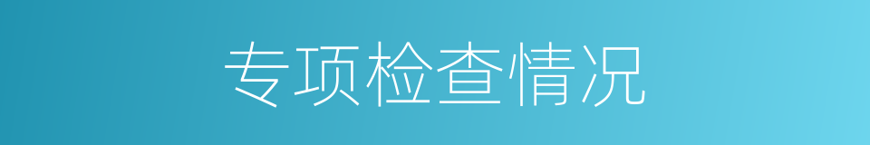 专项检查情况的同义词