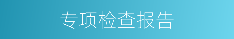 专项检查报告的同义词