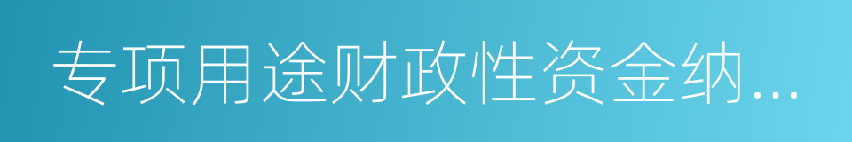 专项用途财政性资金纳税调整明细表的同义词