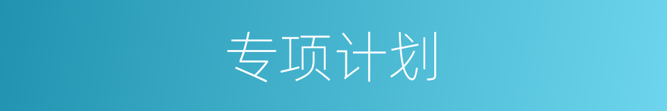 专项计划的同义词