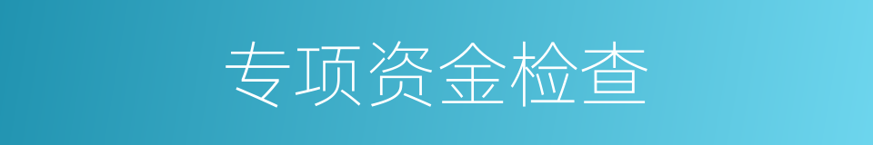 专项资金检查的同义词