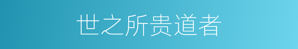 世之所贵道者的同义词
