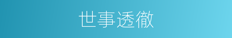 世事透徹的同義詞
