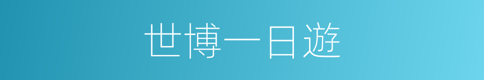 世博一日遊的同義詞