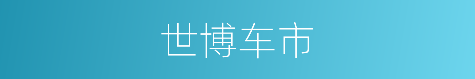 世博车市的同义词