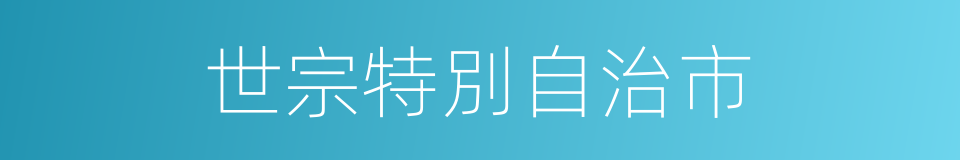世宗特別自治市的同義詞