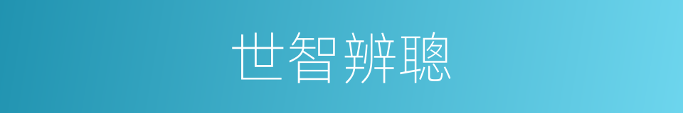 世智辨聰的意思