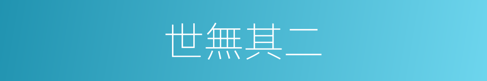 世無其二的同義詞