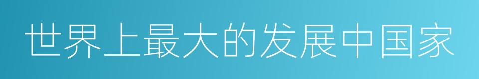 世界上最大的发展中国家的同义词