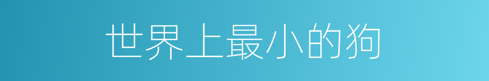 世界上最小的狗的同义词