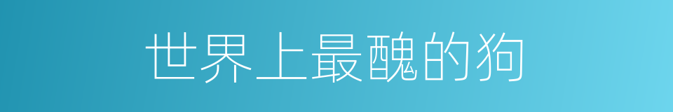 世界上最醜的狗的同義詞