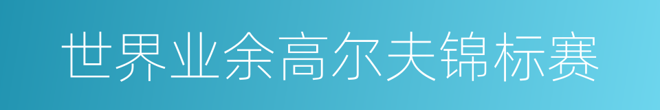 世界业余高尔夫锦标赛的同义词