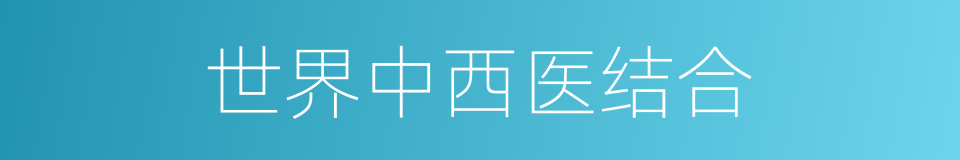 世界中西医结合的同义词
