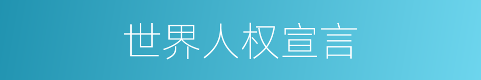 世界人权宣言的同义词