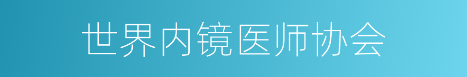 世界内镜医师协会的同义词