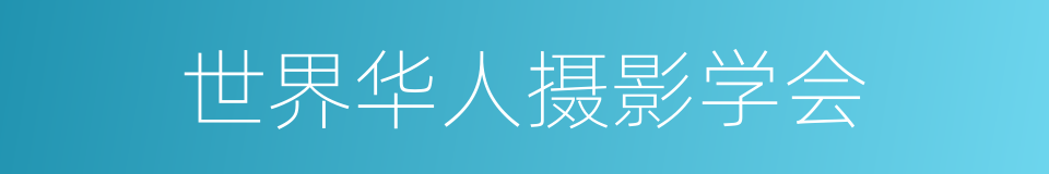 世界华人摄影学会的同义词