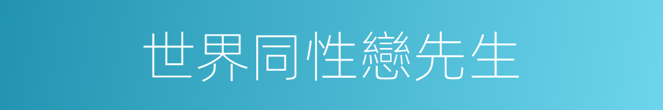 世界同性戀先生的同義詞