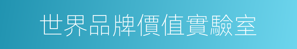 世界品牌價值實驗室的同義詞