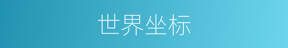 世界坐标的同义词