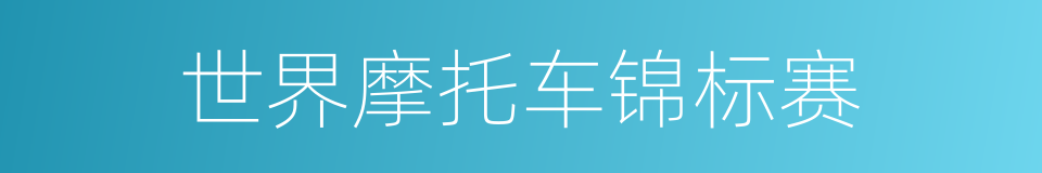 世界摩托车锦标赛的同义词
