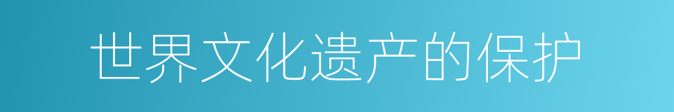 世界文化遗产的保护的同义词