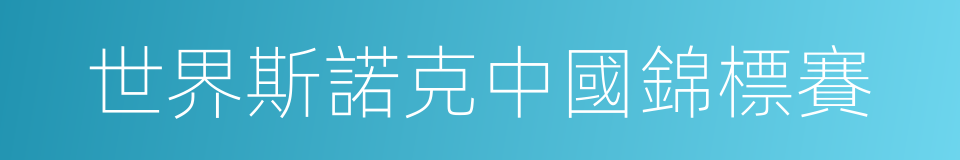 世界斯諾克中國錦標賽的同義詞