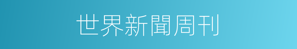 世界新聞周刊的同義詞