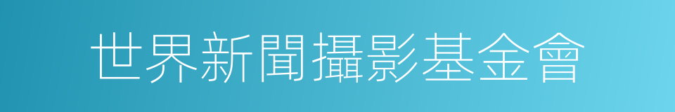 世界新聞攝影基金會的同義詞