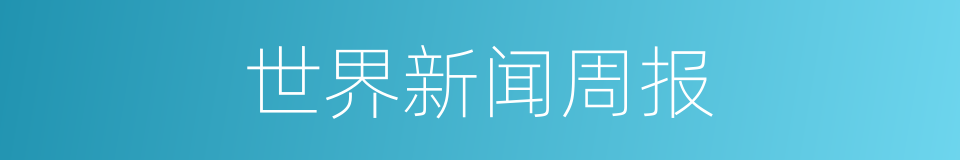 世界新闻周报的同义词