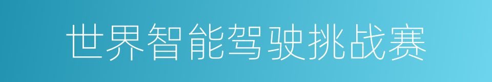 世界智能驾驶挑战赛的同义词
