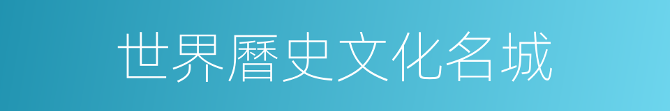世界曆史文化名城的同義詞