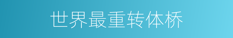 世界最重转体桥的同义词