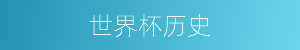 世界杯历史的同义词