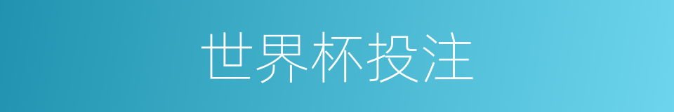 世界杯投注的同义词