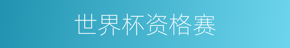世界杯资格赛的同义词