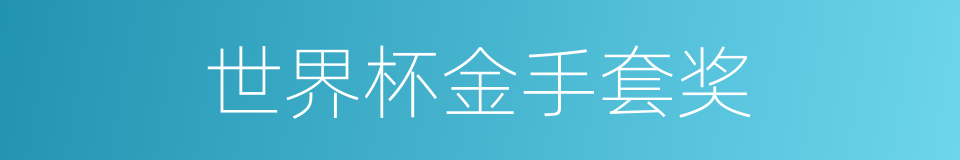 世界杯金手套奖的同义词