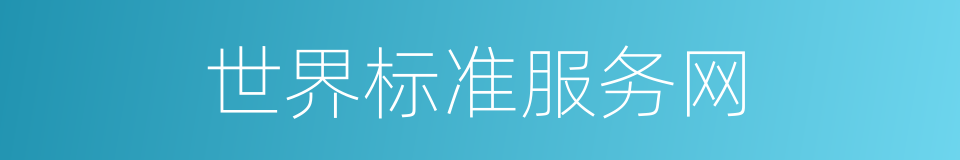 世界标准服务网的同义词