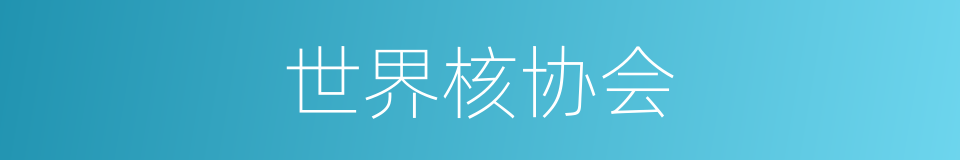 世界核协会的同义词