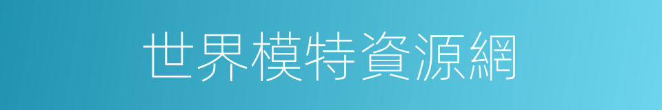 世界模特資源網的同義詞