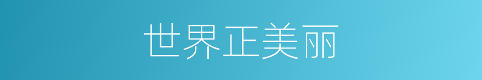 世界正美丽的同义词