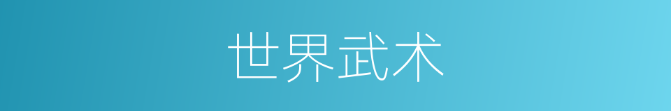世界武术的同义词