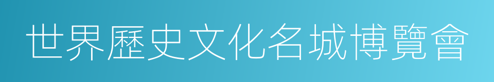 世界歷史文化名城博覽會的同義詞