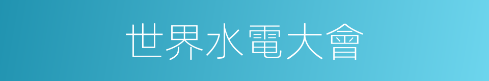 世界水電大會的同義詞