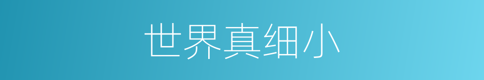 世界真细小的同义词