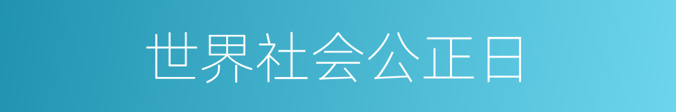 世界社会公正日的同义词