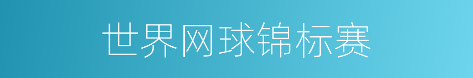 世界网球锦标赛的同义词