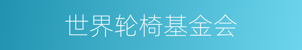 世界轮椅基金会的同义词