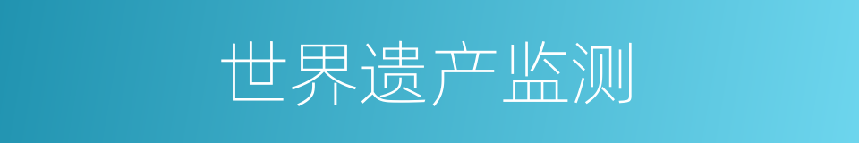 世界遗产监测的同义词