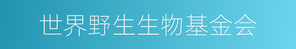 世界野生生物基金会的同义词