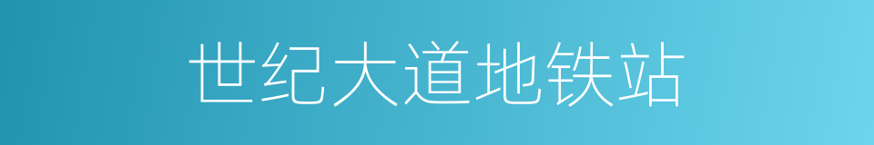 世纪大道地铁站的同义词